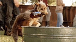 Crack open a cold brew, and check out the most famous beer ads from the last  years.