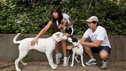 When you travel and have to leave your dog behind, you can call a kennel, hire a pet sitter — or find him a new friend online.