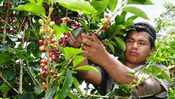 >Learn about&nbsp;where your coffee comes from and the different tastes of the various regions.