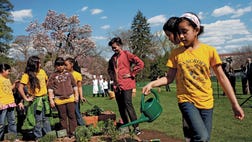 Whenever you travel with kids, you all are going to be tempted to eat too much junk food.