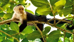 >Whether it’s watching iguanas sunning on rocks in the Galapagos or catching a glimpse of the rarely-spotted quetzal in Panama, spotting wildlife on a vacation can be a welcome surprise and may even be an unexpected highlight.

When we venture in the open air -- by biking or by hiking -- into a destination, we often find ourselves face to face with some magnificent creatures. The noise of cars is long gone on a highway somewhere and the resulting quiet encourages animals of all kinds to reveal themselves if only for a moment.

Here are 5 of the best off-road routes around the world that we’ve found for spotting wildlife great and small: &nbsp;