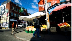 If you're visiting Toronto, you can't help but notice construction cranes, new condos and other signs of gentrification, like restaurants and bars popping up in new hipster 'hoods. But despite t...