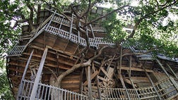 >Today, architects around the world are taking treehouses to a whole new level