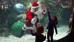 Sorry, Rudolph--Santa is spreading holiday cheer this year with the help of some scuba gear.