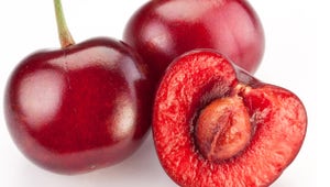 Humans are one of the few creatures on this planet who have the capability of ignoring our basic survival instinct.