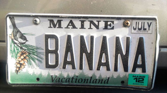 BANANA_HollySherburne_DONE.jpg
