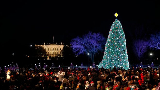 christmastree_wh_120910.jpg
