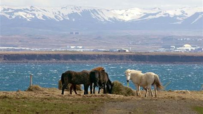 cruise_iceland.jpg