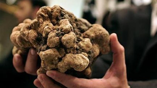 whitetruffles.jpg