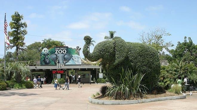 zoo_San_Diego.jpg