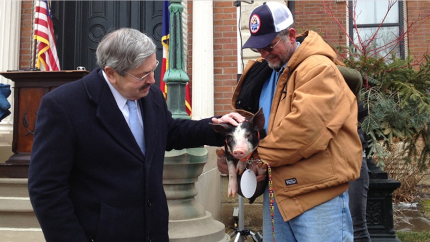 021113PigPardon.jpg