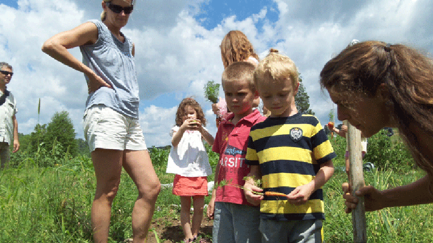 learningveggiepicking