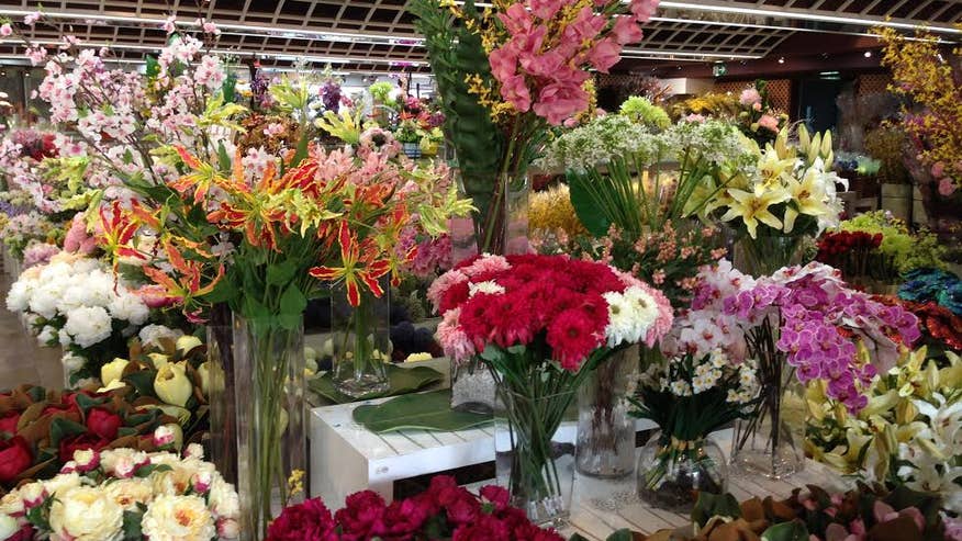 new year hong kong flower market the year of the ringing in new year in hong new year hong kong flower market the year of the ringing in new year in hong