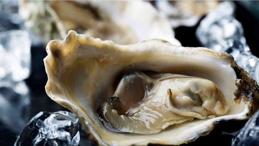 Top 10 oyster festivals to celebrate National Oyster Day | Fox News