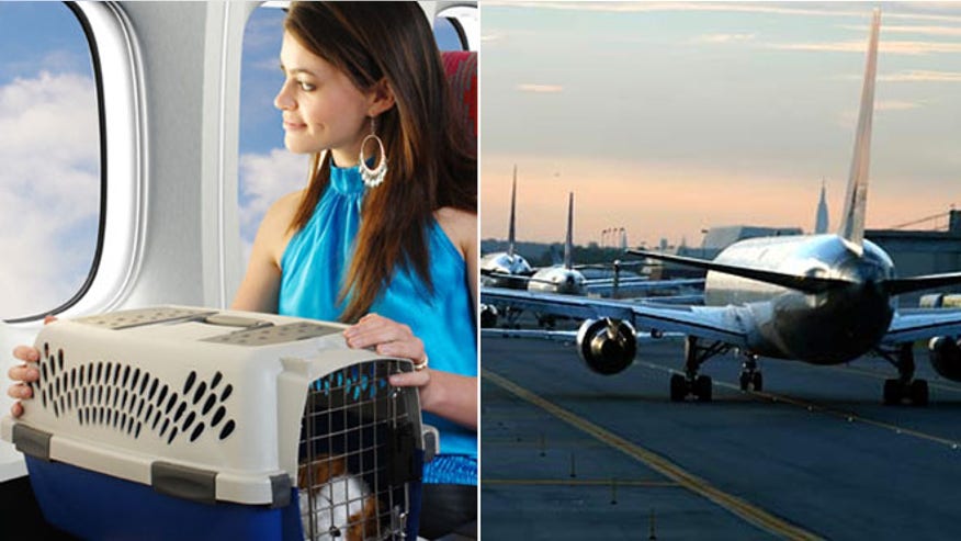 jfk_animal_care_facility.jpg