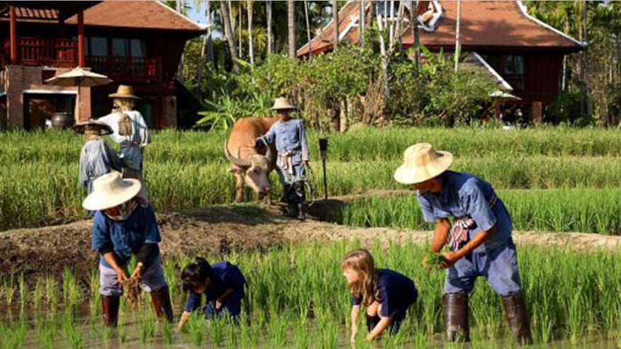 mandarin-oriental-chiang-mai-kids-club-activities.jpg