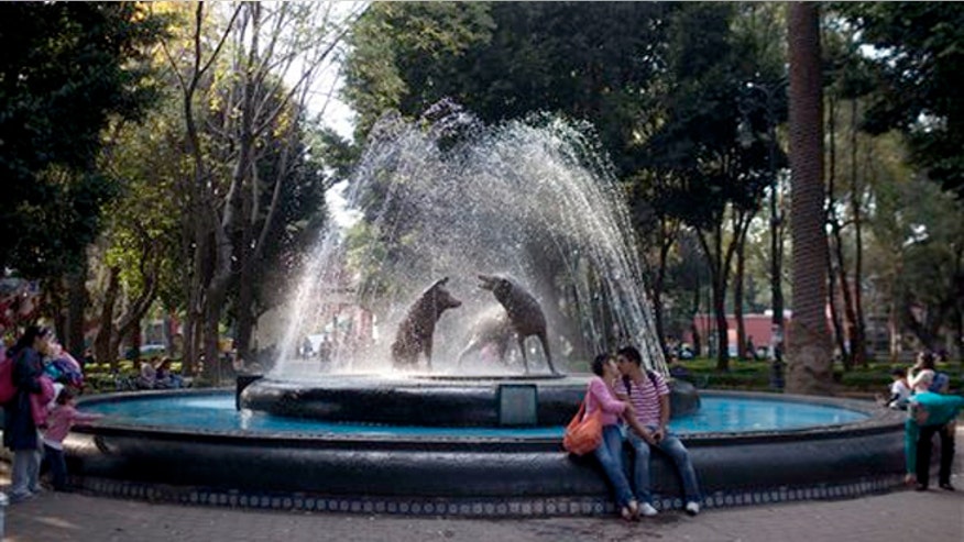 mexico_city_travel.jpg