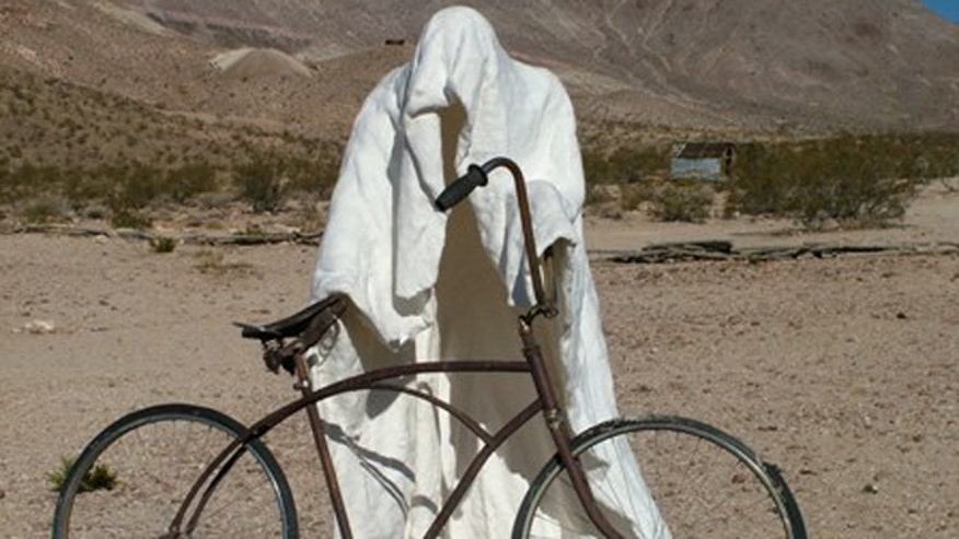 nevada_winner.jpg