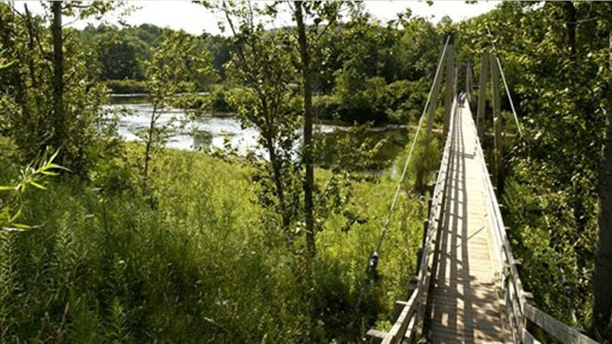 north_trail.jpg