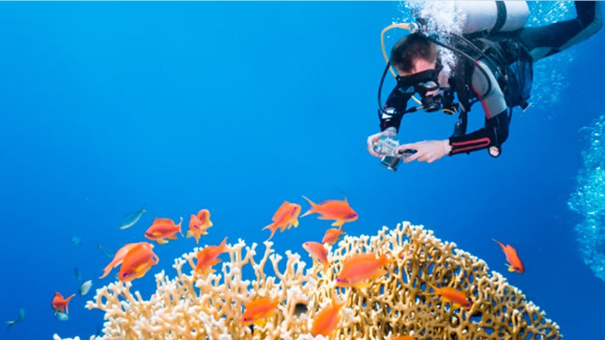 underwater_photog.jpg