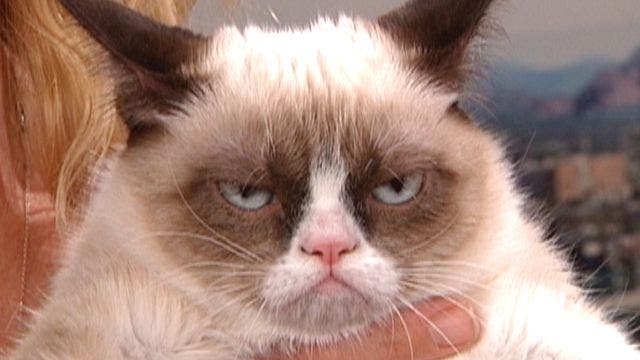 Grumpy Cat Sad Face