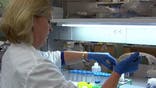 Aging and its associated aches and pains are typically considered a rite of passage— unavoidable despite how well we care for ourselves. However, a new reportindicates stem cells may reverse the damage of aging