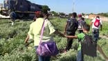 Misperceptions about U.S. immigration policy behind surge of illegal children, report says