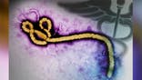 Ebola crisis: Is Obama's CDC adding to fears?