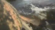 An alligator leapt out of the water and hit a Florida fisherman in the arm -- and he caught the entire terrifying incident on his helmetcam.