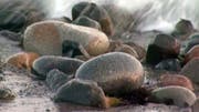 A woman suffered third-degree burns after what appeared to be the spontaneous combustion of rocks that had been scooped up from a Southern California beach, a fire official said.
