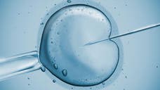 British fertility experts have devised a new IVF technique that takes thousands of snapshots of a developing embryo that they say can help doctors pick those most likely to implant successfully and develop into healthy babies.