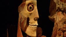 At the “Body Worlds” exhibit in New York’s Times Square, visitors will find a unique collection of nearly  human specimens on display – from full bodies to single organs.
