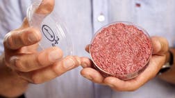 >They bit, they chewed, but had hoped for more flavor.              