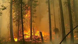 >Fire commanders battling a giant blaze around Yosemite National Park said Thursday that they would maintain use of a Predator drone to give them early views of any new flare-ups across the remote and rugged landscape..