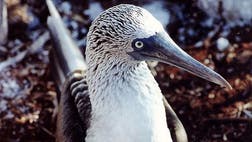 >The Internet gives and gives and gives, and we just take.