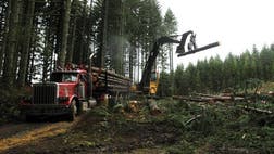 >Many in these decimated small towns blame The Endangered Species Act, which paved the way for a flood of lawsuits blocking federal timber sales.