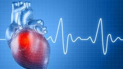 The cholesterol-lowering agent red yeast rice, an alternative treatment method for patients that can't tolerate statin drugs, doesn't work any better when a plant-derived compound called sterol is added to it, according to a new study.