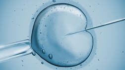 >Since it was first performed in the 1980s, in vitro fertilization has continued to improve and offer families more options.  Dr. Manny talks with the program director for the NYU Fertility Center about new techniques that result in more pregnancies the first time around

 