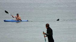 A Massachusetts man had a close encounter with a great white shark off the coast of Cape Cod.