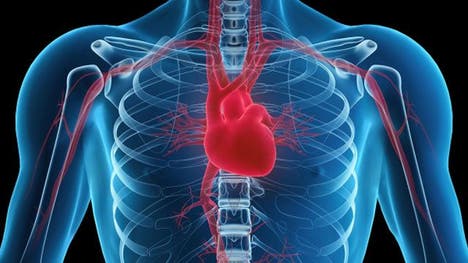   For some patients with heart disease, taking antidepressants may reduce the risk of heart problems brought on by mental stress, a new study suggests
