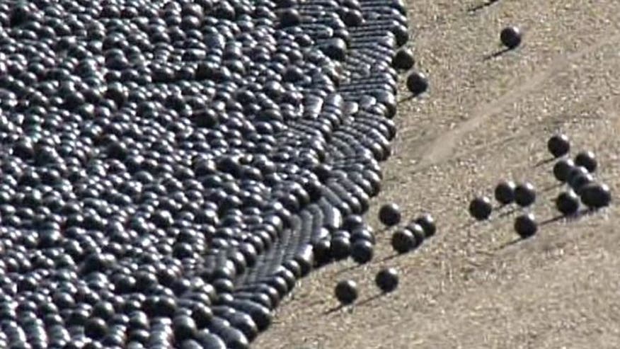 TO THE RESCUE? LA uses black balls to stop evaporation amid drought