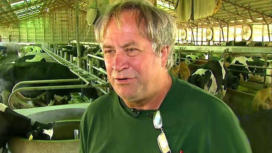 Dairy farmer fighting feds after IRS milks him for $30,000 - VIDEO: How one farmer ended up on the wrong side of the IRS
