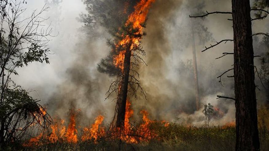 Record wildfire in Washington gets international, local help