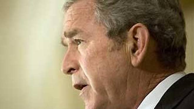 Bush announces plan to rescue U.S. auto industry