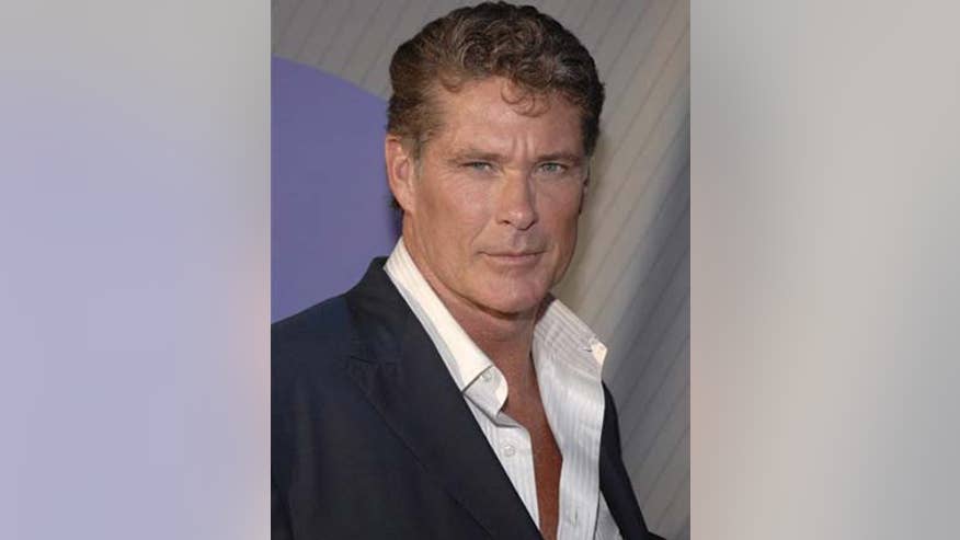 0_21_david_hasselhoff_350