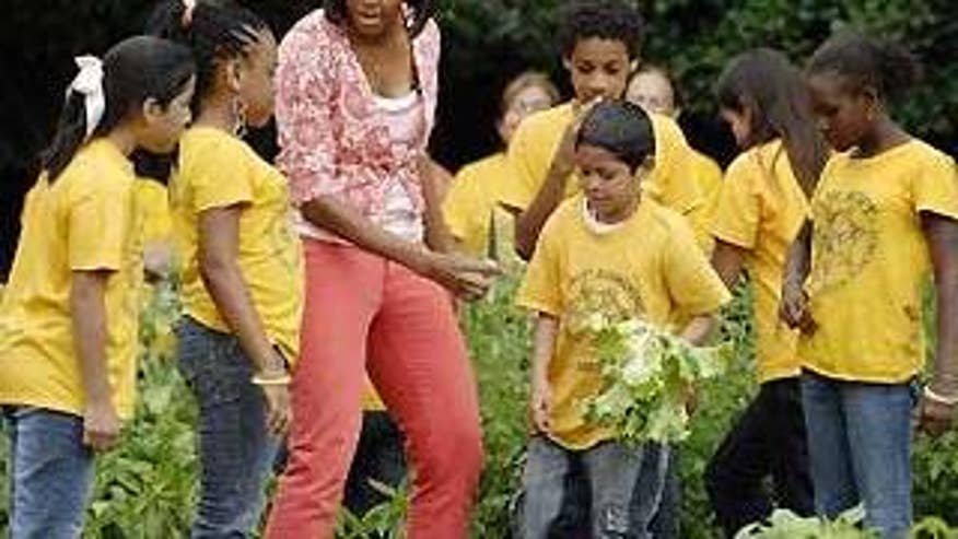 First lady Michelle Obama works with students from Bancroft Elementary School to harvest vegetables from her garden at the White House Tuesday. (Reuters Photo)
