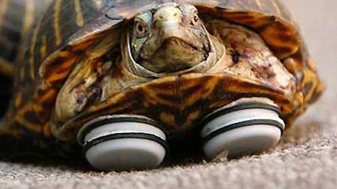 2_24_090209_lucky