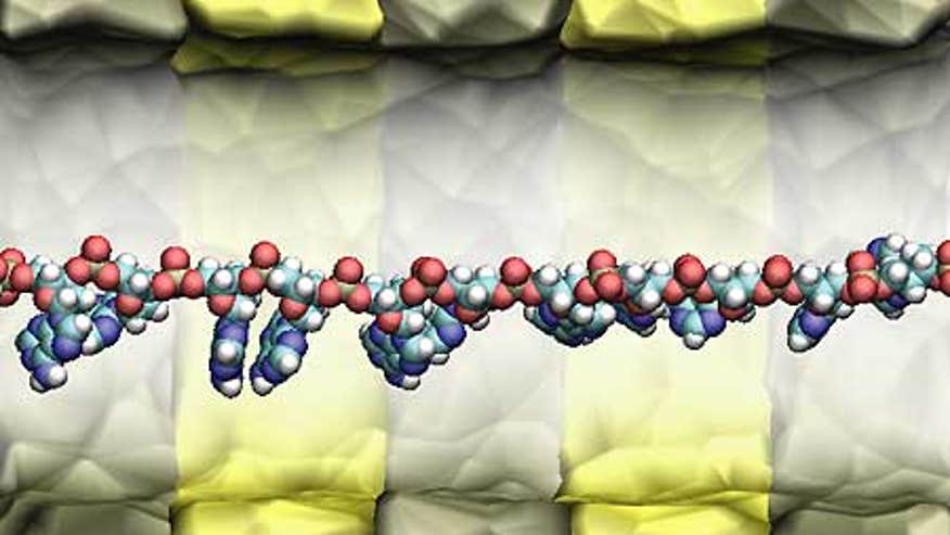 0_21_IBM_DNA_transistor
