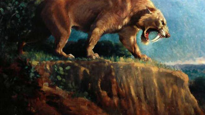 0_23_sabertooth_painting