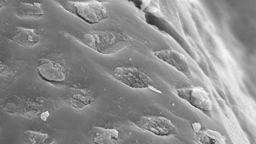 2_23_mars_asteroid2